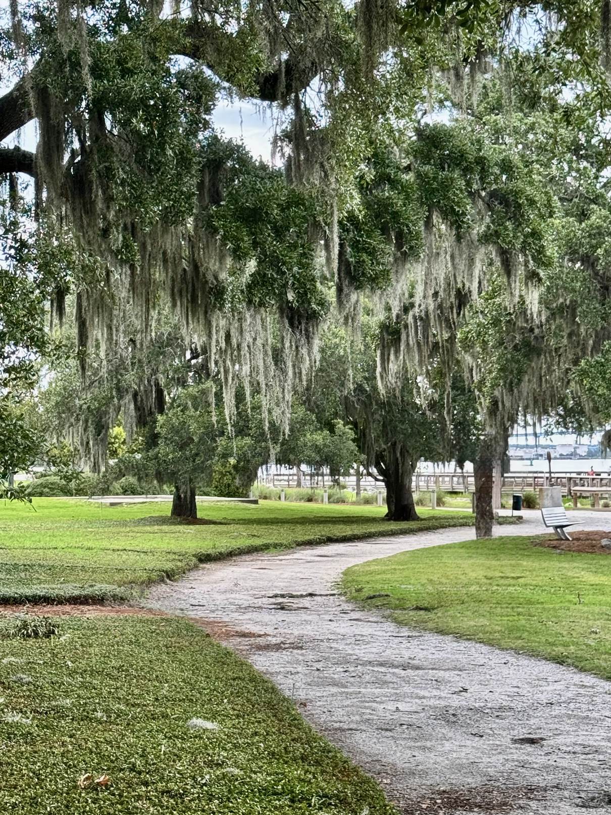A live oak-lined path leading to the Charleston waterfront