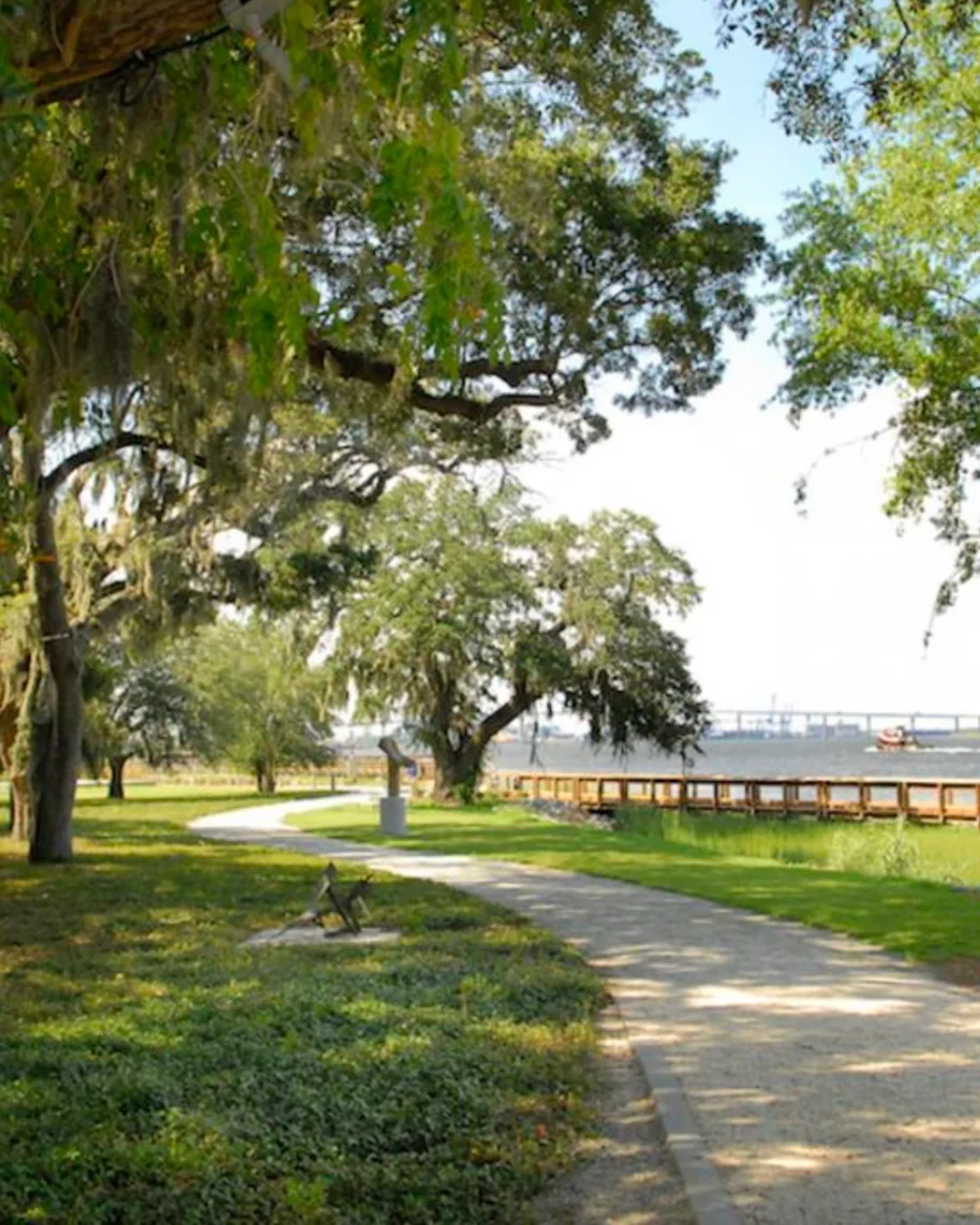 A live oak-lined path leading to the Charleston waterfront